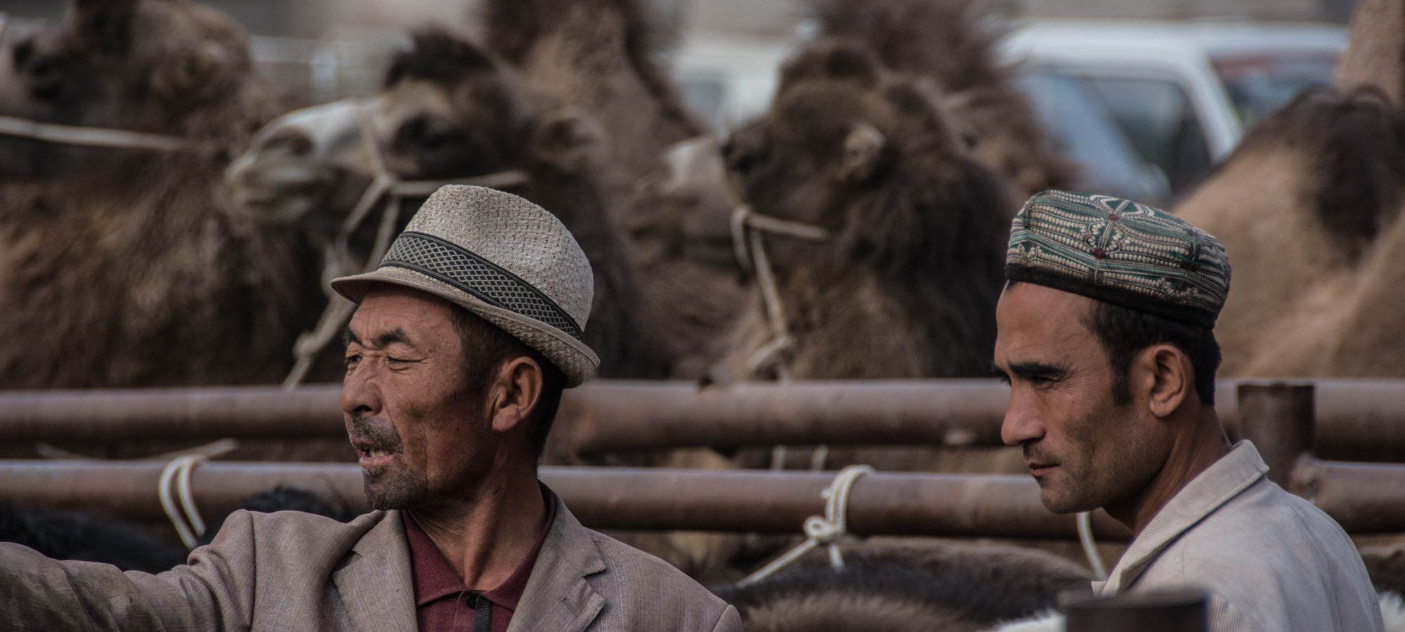 Photos from our Karakoram Highway Cycling Holiday